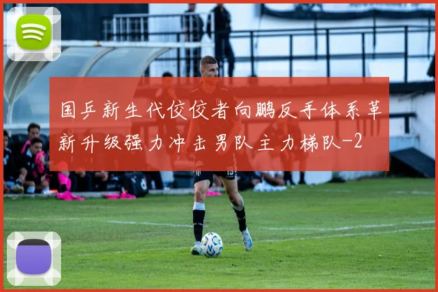 国乒新生代佼佼者向鹏反手体系革新升级强力冲击男队主力梯队