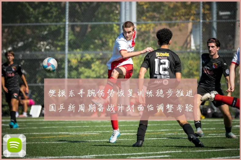 樊振东手腕伤势恢复训练稳步推进国乒新周期备战计划面临调整考验
