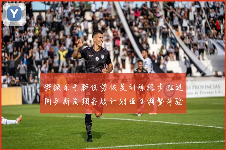 樊振东手腕伤势恢复训练稳步推进国乒新周期备战计划面临调整考验