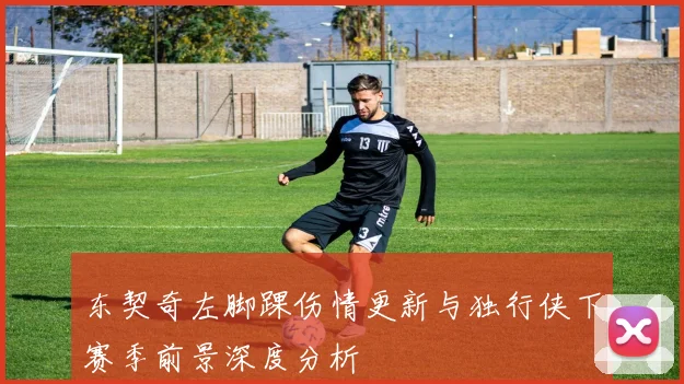 东契奇左脚踝伤情更新与独行侠下赛季前景深度分析