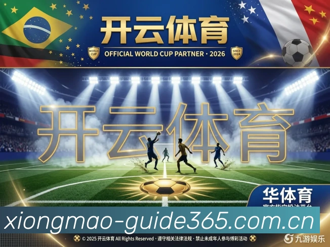 未来规划